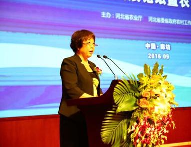 加快河北品牌农业建设 引领现代农业发展 _ 经