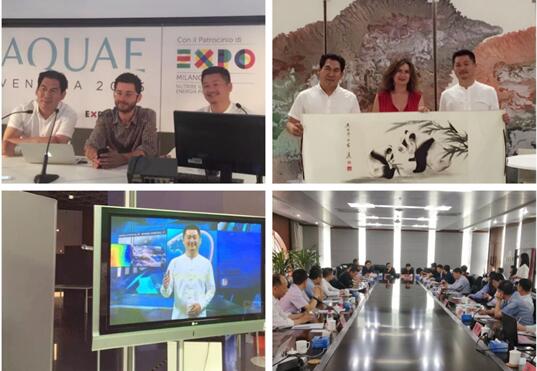 世博盛会 曼豪中国助力民族企业品牌腾飞