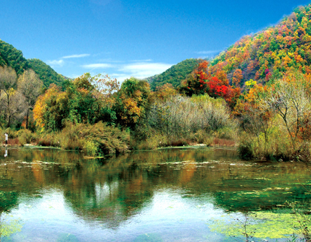居史上四大奇观之一 _ 经济参考网 _ 新华社《