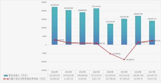 慈星股份财务数据
