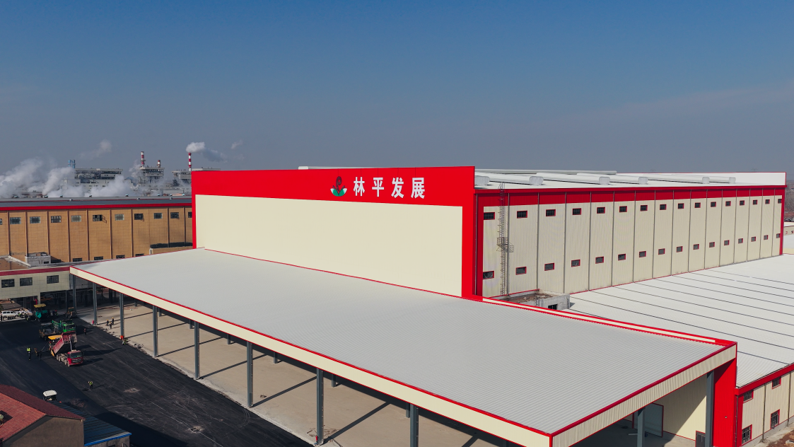 尊龙凯时人生就是博平台|猫咪1.3.0最新下载|林平发展将于