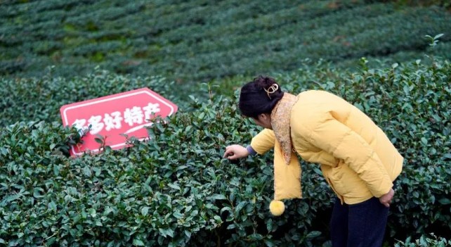重仓供应链战略进入实质落地期拼多多一季度营收1062亿元(图1)