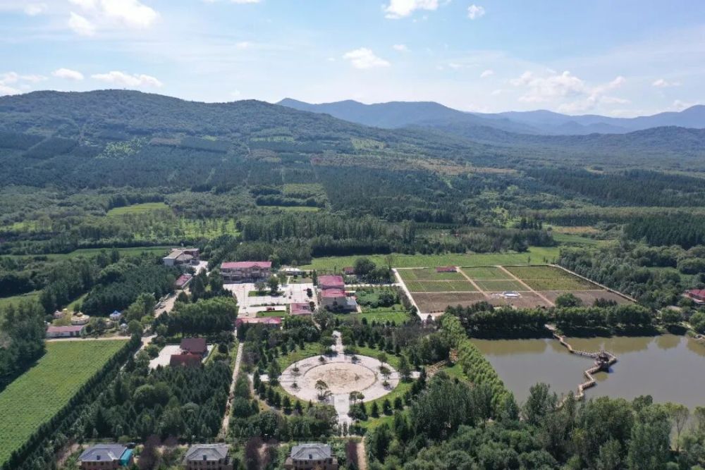 龙江森工集团：十年笃行护林海逐绿奋进新征程(图1)