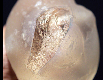 日常款硅胶凝胶加牌子好不好 哪款好评价