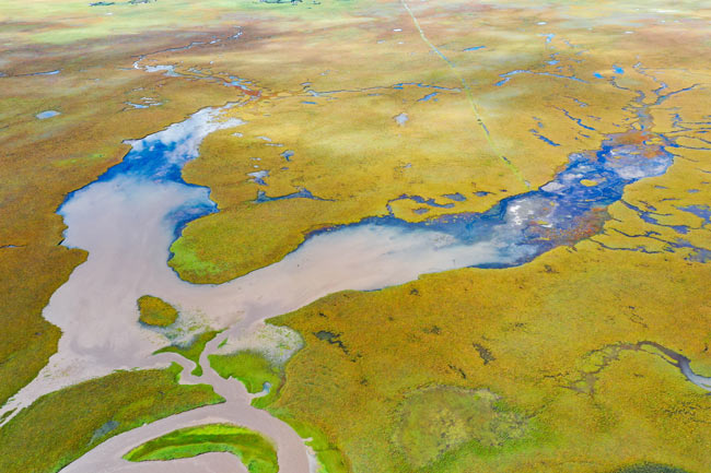 甘肅瑪曲：保護草原生態　涵養黃河水源