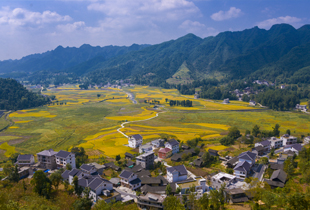 务川：在世界的目光中掀开盖头