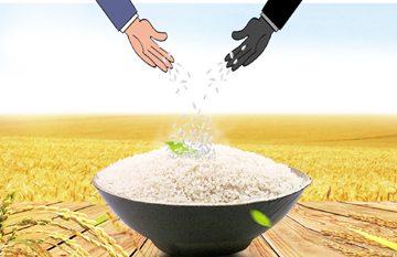 稻米市场“产业病”丛生