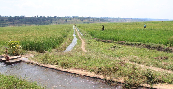 中地公司助力卢旺达农田水利建设