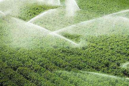 人水矛盾结苦果：多省区地下水超采形成&ldquo;漏斗区&rdquo;